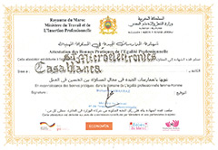 Professional Equality Trophy certificate (photo)