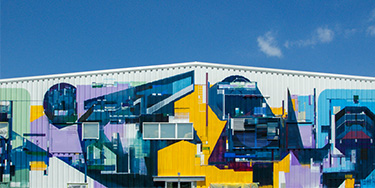 close-up of an 800m² mural (photo)