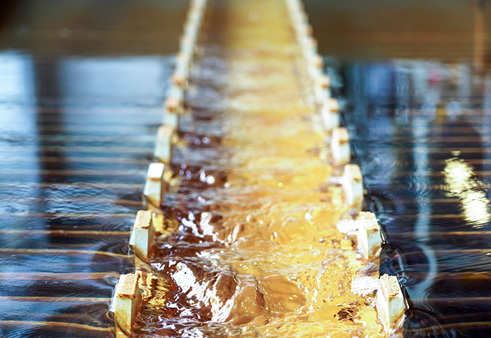 Water streams colliding in a wooden lane (photo)