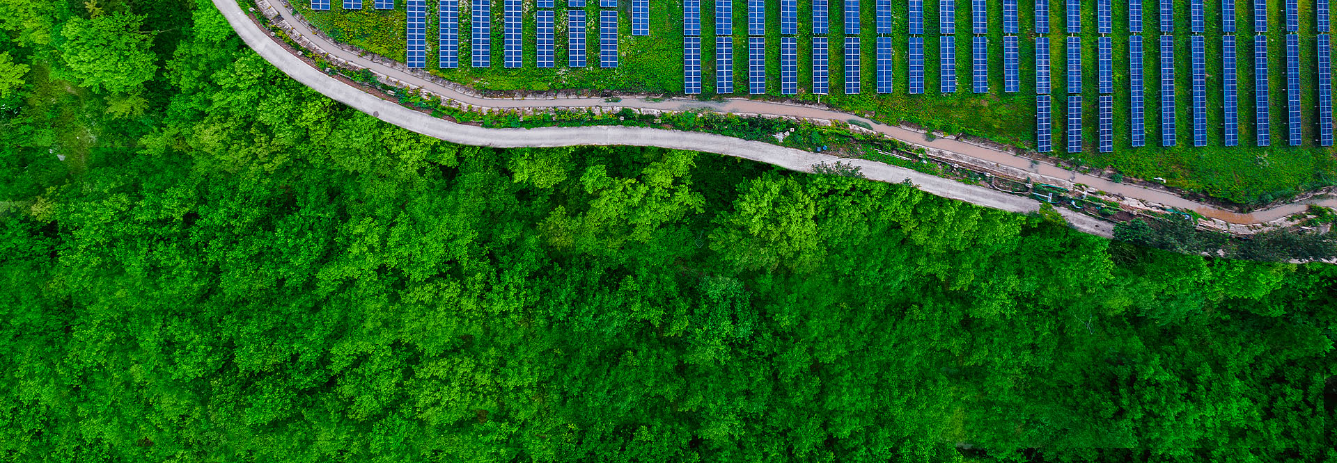 Aerial view of a forest with a road next to a river and solar panels (photo)